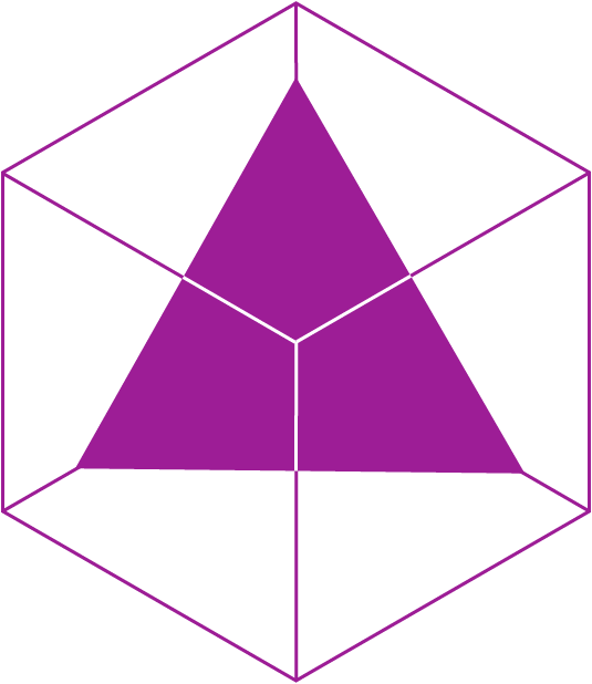 Fuchsia triangle in a cube, represents Kavli neuroscience