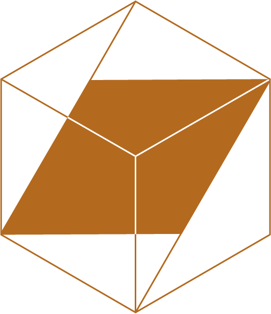 burnt sienna parallelogram inside a cube, represents Kavli theoretical physics