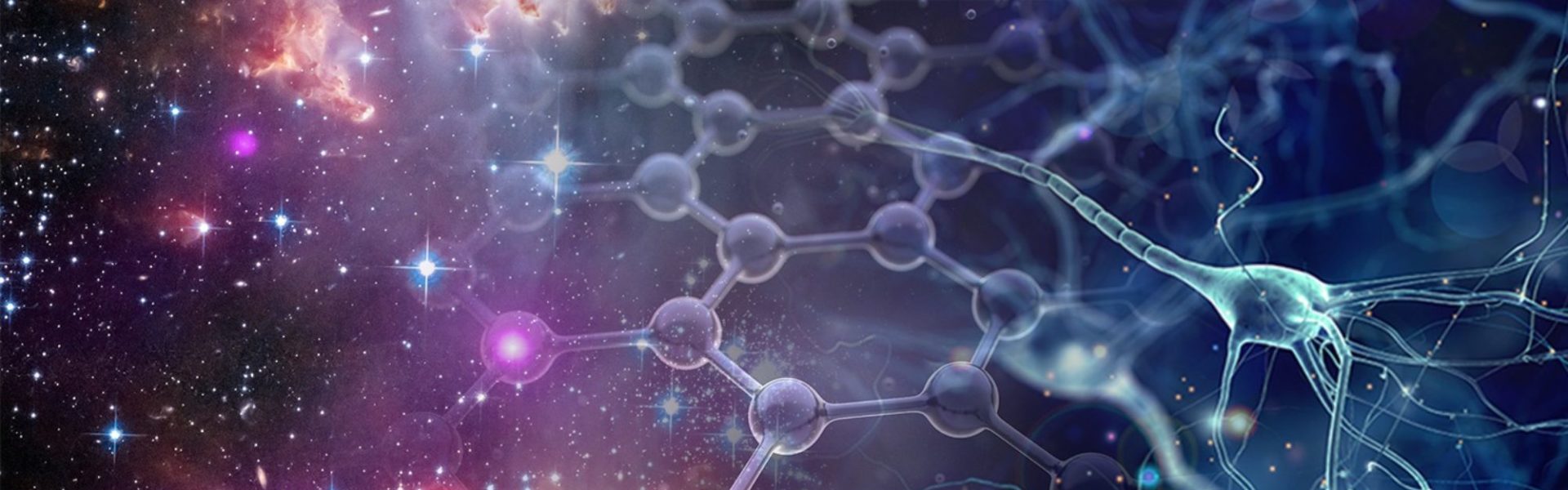 Kavli Community